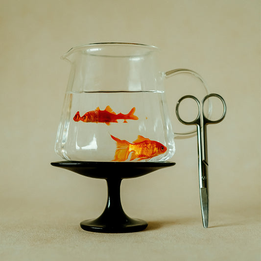 watchget Glass Coffee Server